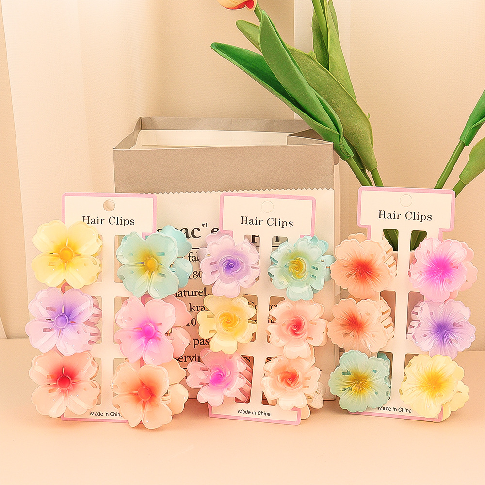 6Pcs Fashion Colorful Transpar - đánh giá và giá Hair Claw Clip Set