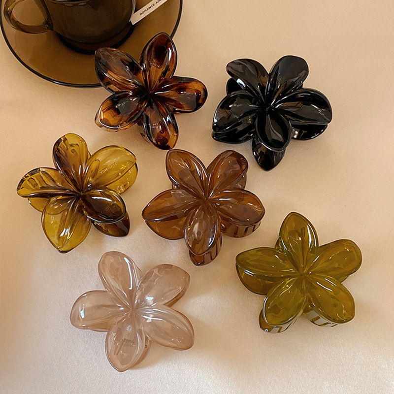 Women's Large-Size 8cm Brown B - đánh giá và giá Hair Claw Clip Set