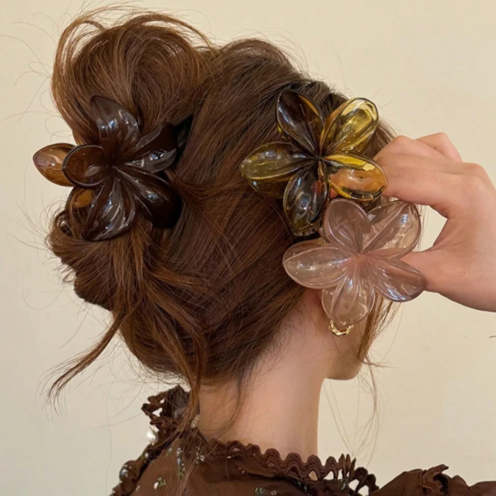 Women's Large-Size 8cm Brown B - đánh giá và giá Hair Claw Clip Set