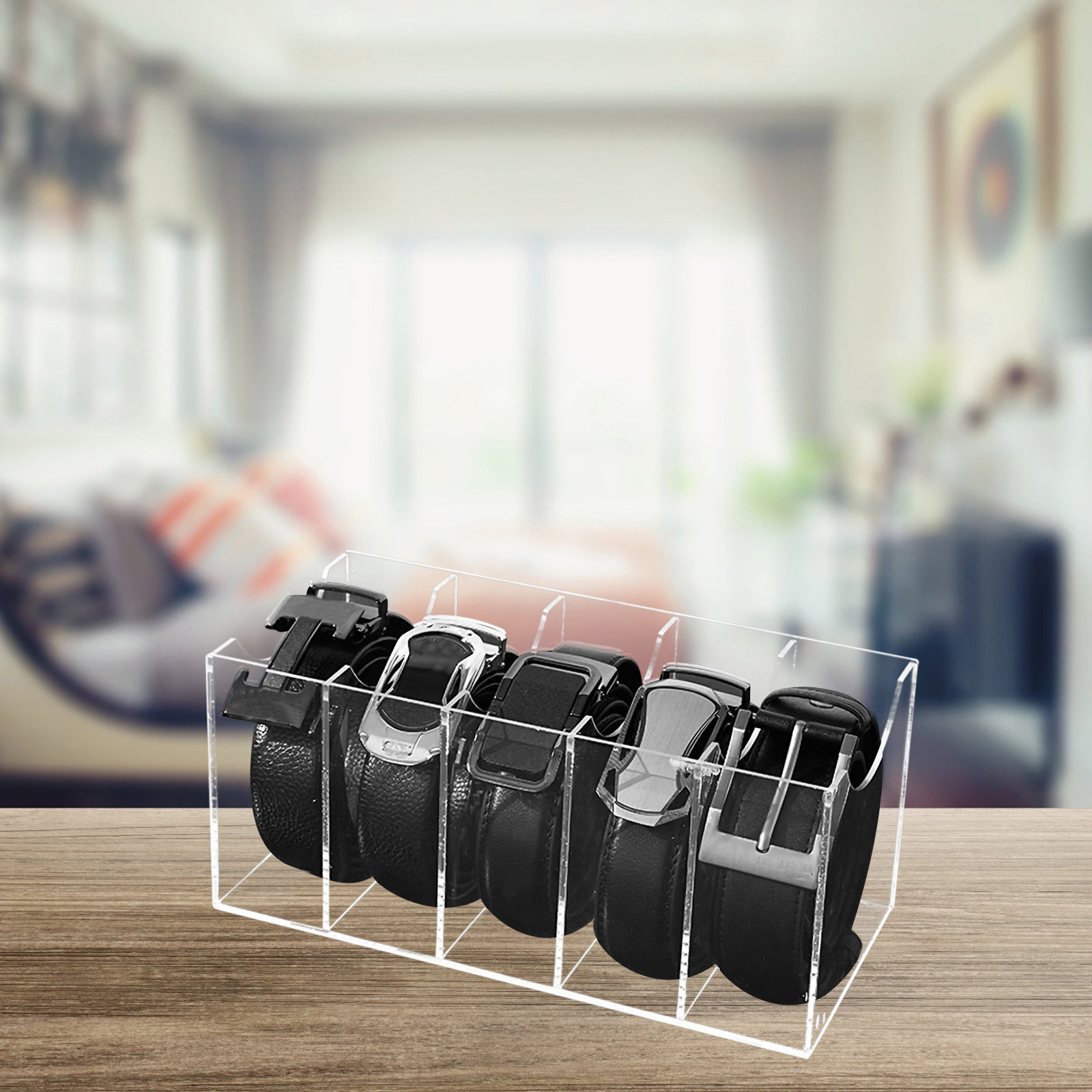 5-Compartment Transparent Belt - đánh giá và giá Women Accessories Organizer