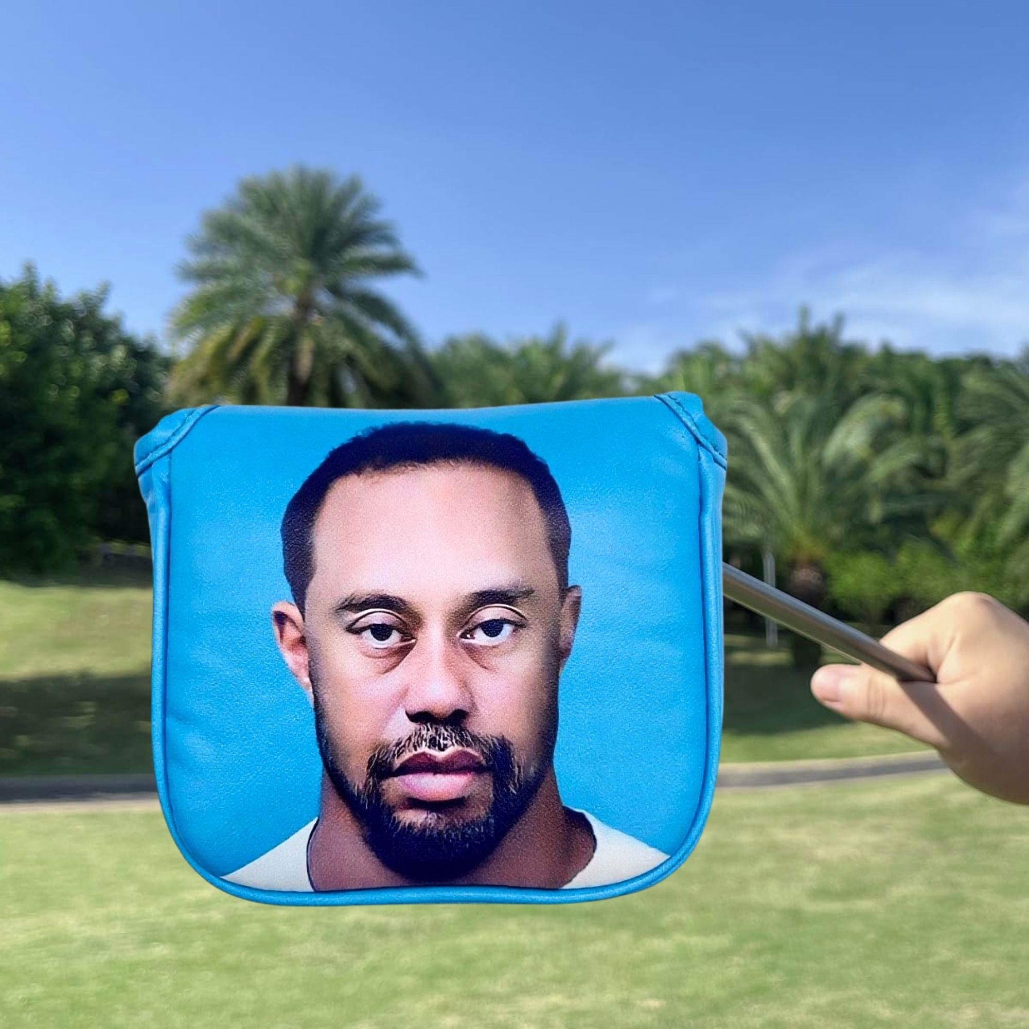 Funny Golf Mallet Putter Head  - đánh giá và giá Women'S Golf Accessories